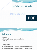 Presentasi Fisiologi Mata