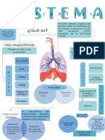 Mapa Conceptual Sistema Respiratorio