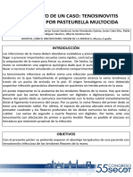 A Propósito de Un Caso: Tenosinovitis Infecciosa Por Pasteurella Multocida