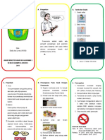 Leaflet Pneumonia