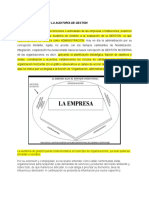 Campo de Accion de La Auditoria de Gestion