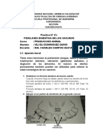 PRACTICA N° 1 - FISIOLOGÍA DIGESTIVA DE LOS VACUNOS