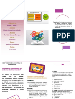 Sistemas de información: componentes clave