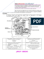 Ciencias 8