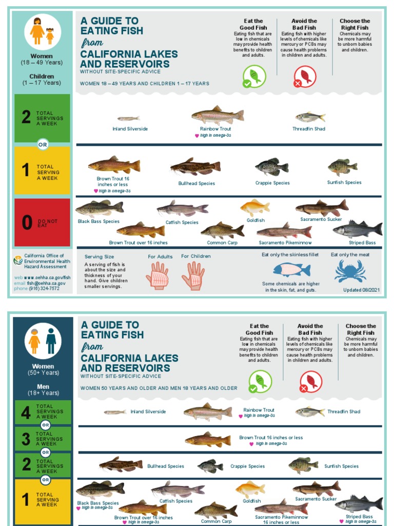 A Guide To Eating Fish For Women, Children And Families – QLTWIU
