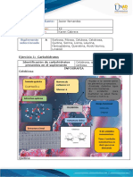 Bioquímica_12_Biomoléculas_Javier fernandes