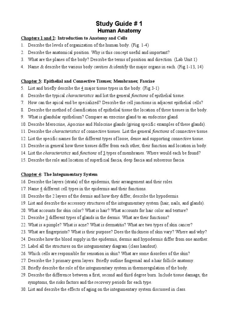 Study Guide # 1: Human Anatomy | Descargar gratis PDF | Integumentary ...