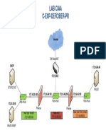 Lab Ciaa C-Exp-Defciber-Pr: Internet