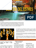 GESTION_DEL_ESTRES_Expo%5b1%5d