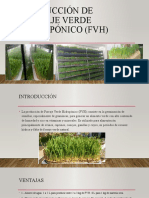 Producción de Forraje Verde Hidropónico (FVH)