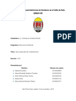 Informe - Tipos Especiales de Contaminacion