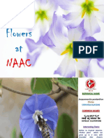 Flowers at NAAC