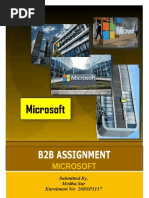 B2B Assignment: Microsoft