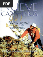 Nueve Caminos para Seguir Vivie - Victor Manuel Fernandez