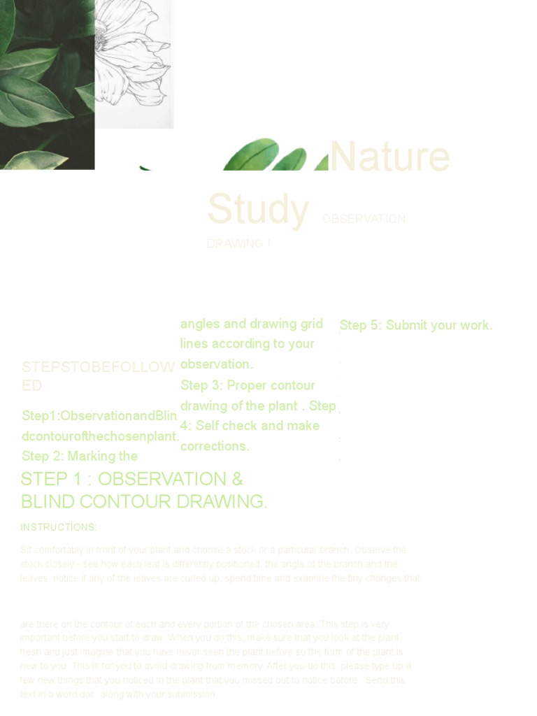 Nature Study - Introduction . | PDF | Drawing
