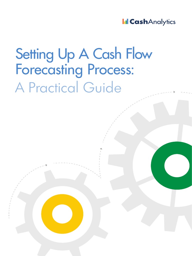 Cash Flow Forecasting Setup Guide | PDF | Forecasting | Market Liquidity