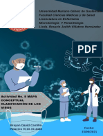 Actividad 8 Mapa Conceptual de La Clasificacion de Virus