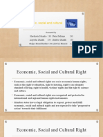 Economic, Social and Cultural
