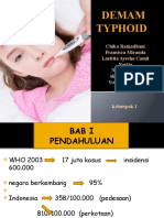 Demam Typoid Fix