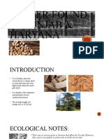 Timber Found in Punjab & Haryana