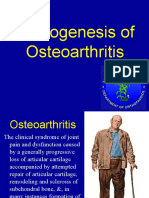 Pathogenesis of Osteoarthritis: Declining Chondrocyte Function