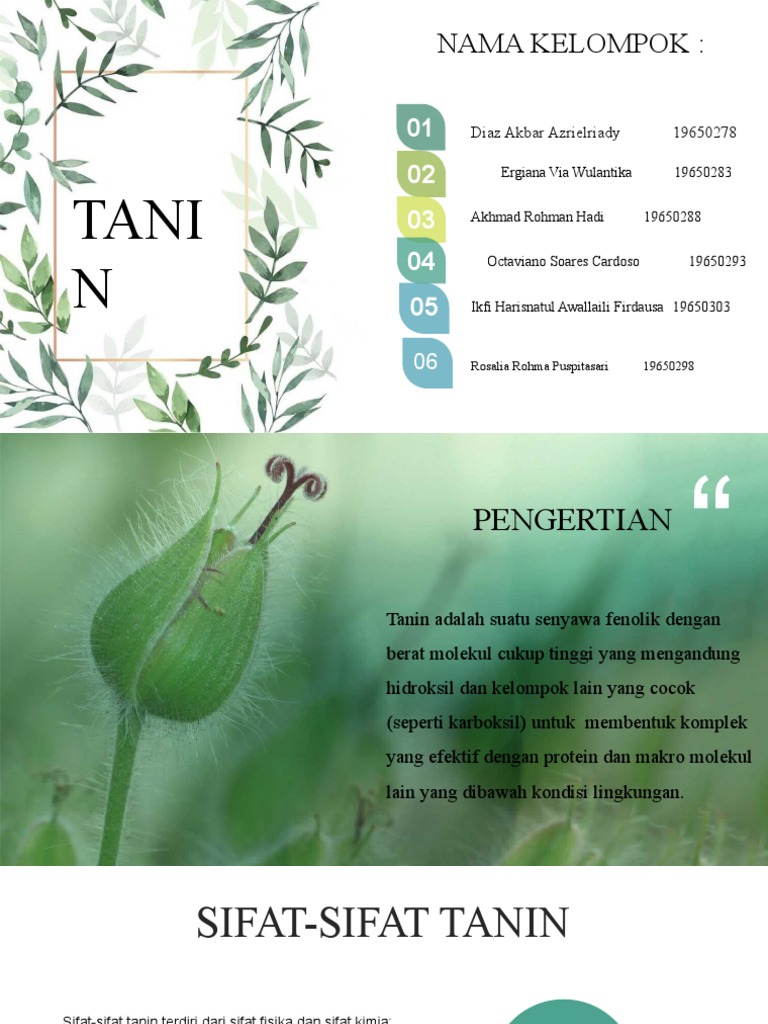 Sifat, Kegunaan, dan Klasifikasi Tanin | PDF