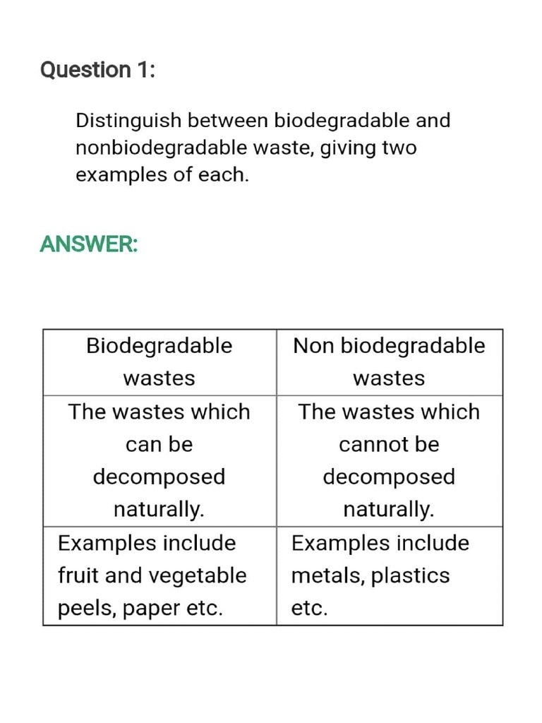 Class 6th CH 17 Science | PDF