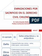 Las indemnizaciones por sacrificio en el derecho civil chileno