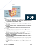 Integumentary System: Skin Problems