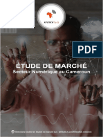 AfrikaTech-Extrait-Etude-de-marché-Secteur-Numérique-au-Cameroun