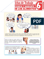 Funciones de Los Alimentos para Sexto Grado de Primaria