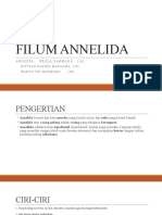 Filum Annelida