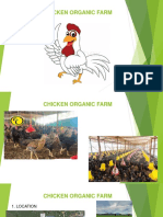 Chicken Organic Farm