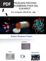 Download Sistem ekspresi pada eukariot by Nouvy Rhara SN52606147 doc pdf