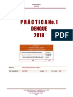 01 Dengue (Epi Info)