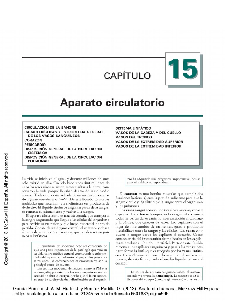 Primera Parte e Libro | PDF