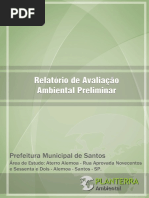 Alemoa Raap Relat Aval Ambiental Prelim