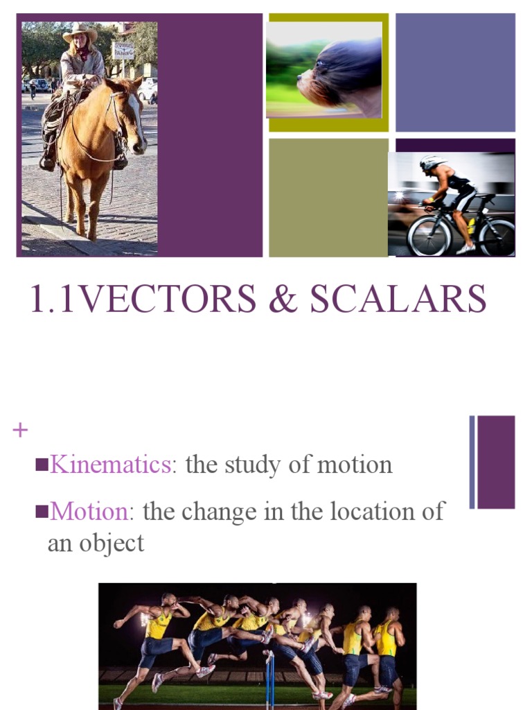 Understanding Vectors and Scalars in Motion | PDF | Euclidean Vector ...