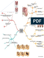 Fisiología del trabajo de parto y mantenimiento del embarazo