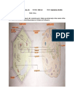 OliverosChristian Laboratory Activity No. 2