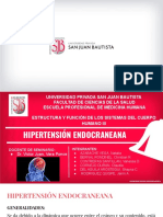 Seminario Hipertensión Endocraneana