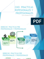 Derecho Practicas Pre Profesionales y Profesionales