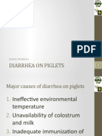 Diarrhea On Piglets: Enteric Problems