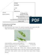 Uas Zoologi Invertebrata Tahun 2021