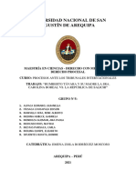 Grupo N 5 - AGENTES DEL ESTADO - Caso Humberto Távara y Su Madre La Sra. Carolina Boreal vs. La República de Salichi