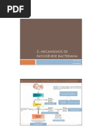 2. mecanismos patogenese bacteriana(1)