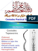 Cestodes Practical Slides: Mohammed H. Sarhan