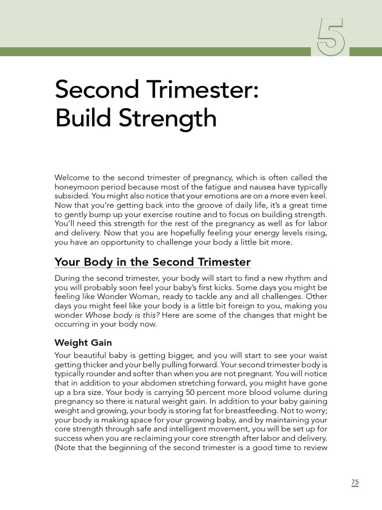 Second Trimester | PDF | Pregnancy | Human Anatomy