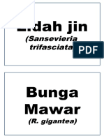 Nama Bunga