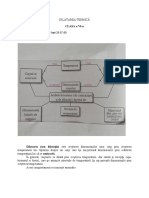 Dilatarea Temica 1-1